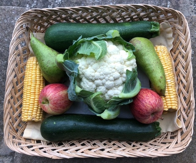 Harvest Thanks